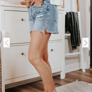 Free People x We The Free Denim Shorts